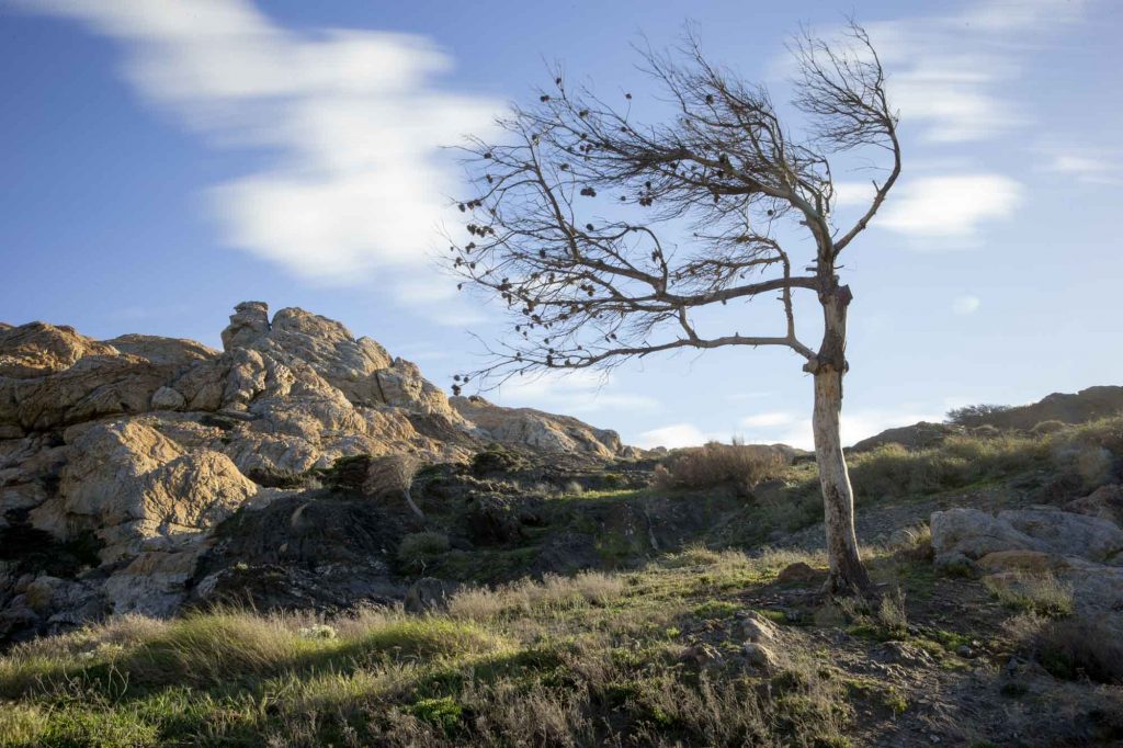 CAP DE CREUS-24