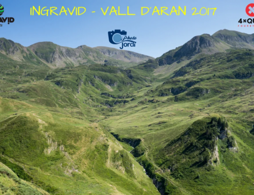Ingravid – Vall d’Aran